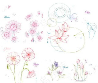 郁金香花与莲花