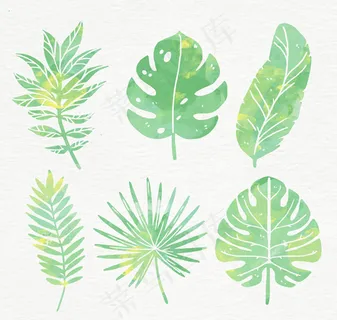 水彩绘绿色棕榈树