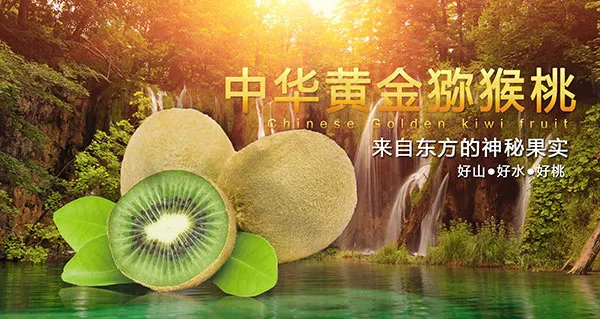 淘宝猕猴桃海报psd模版下载