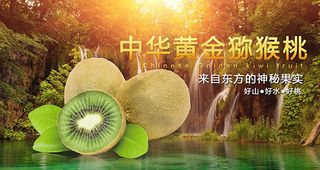 淘宝猕猴桃海报