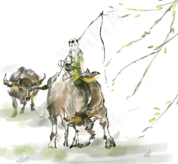 放牛的孩子插画 放牛的孩子插画
