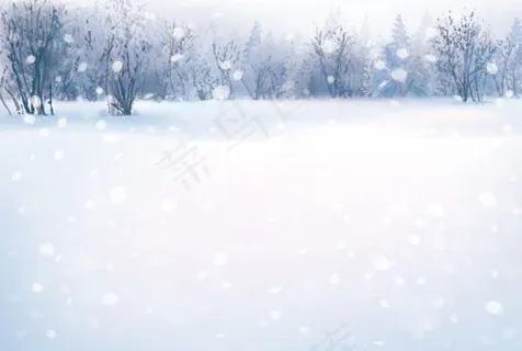 雪地森林唯美风景