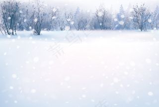 雪地森林唯美风景