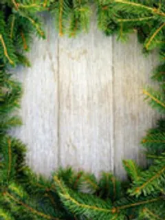 松枝边框木板底纹