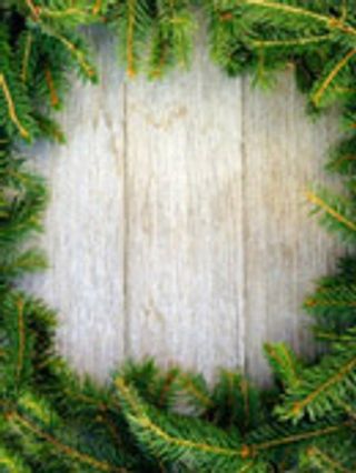 松枝边框木板底纹