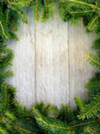 松枝边框木板底纹