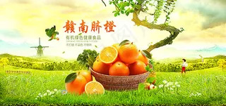 淘宝赣南脐橙子