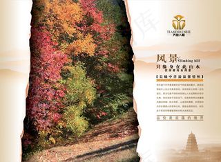 品味底蕴境界PSD