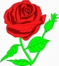 花朵鲜花_794eps,ai矢量模版下载