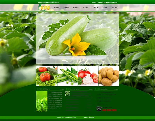 蔬菜种植企业网页psd模版下载