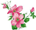 PSD精美花纹_107psd模版下载