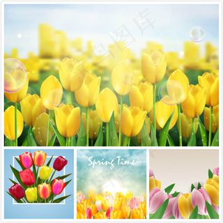 郁金香植物花朵,免抠元素