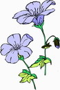 花朵鲜花_346eps,ai矢量模版下载