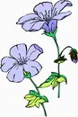 花朵鲜花_346eps,ai矢量模版下载