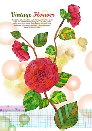 手绘水彩画花朵