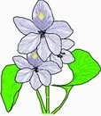 花朵鲜花_466eps,ai矢量模版下载