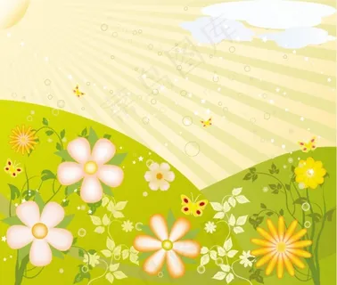 春天里的花朵 春天里的花朵