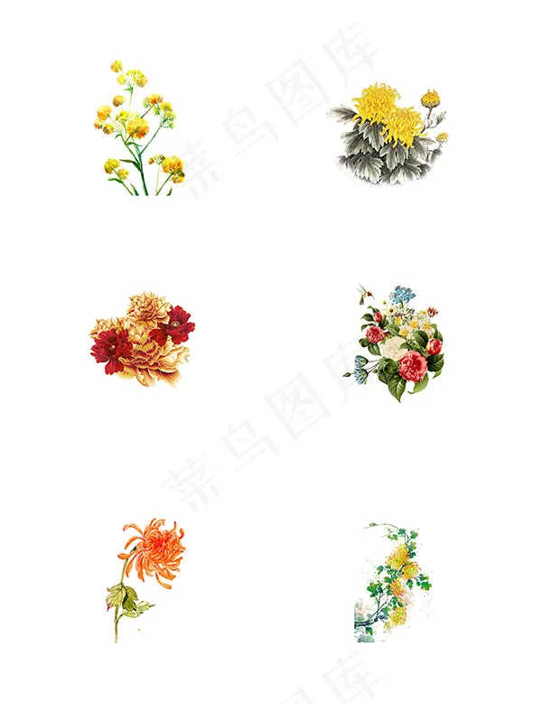 中国画菊花psd模版下载