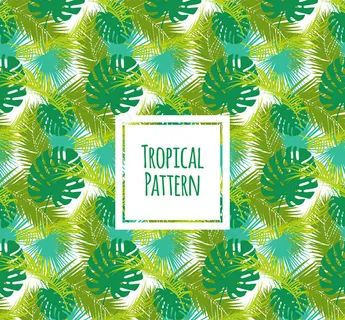 龟背竹和棕榈树叶背景