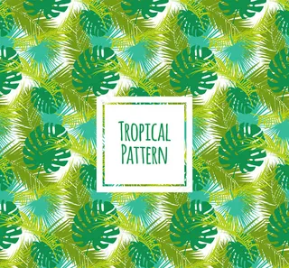 龟背竹和棕榈树叶背景