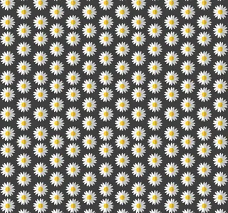 雏菊花朵无缝背景