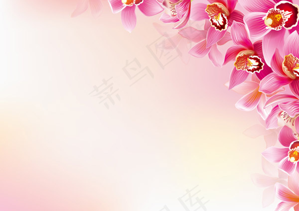 兰花装饰背景eps,ai矢量模版下载