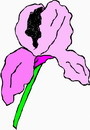 花朵鲜花_673eps,ai矢量模版下载