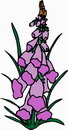 花朵鲜花_95eps,ai矢量模版下载