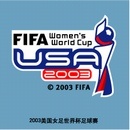 2003美国女足世界杯足球赛ai矢量模版下载