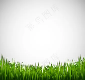 青葱草地背景矢量