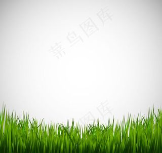 青葱草地背景矢量