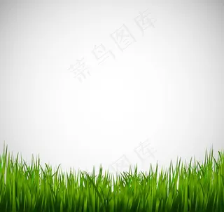 青葱草地背景矢量