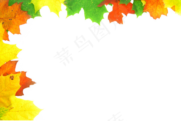 树叶素材边框03