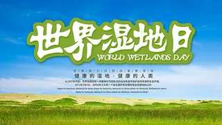 世界湿地日展板