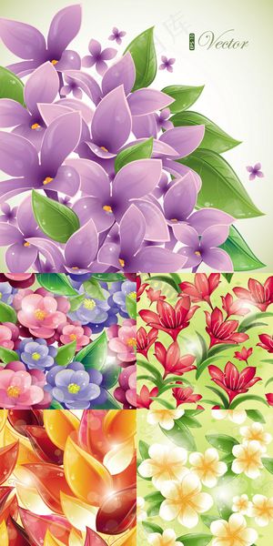 绚彩花朵矢量 绚彩花朵矢量