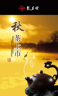 秋茶上市 秋茶上市