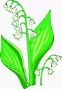 花朵鲜花_326eps,ai矢量模版下载