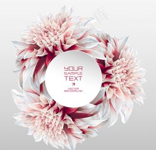 圆形大丽花图标,免抠元素