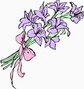 花朵鲜花_613eps,ai矢量模版下载