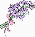 花朵鲜花_613eps,ai矢量模版下载