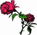 花朵鲜花_498eps,ai矢量模版下载