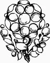花朵鲜花_1089eps,ai矢量模版下载
