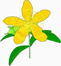 花朵鲜花_191eps,ai矢量模版下载