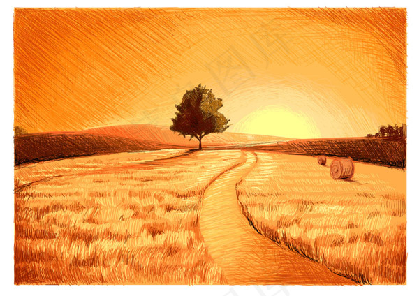 麦田油画