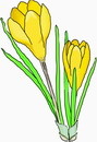 花朵鲜花_445eps,ai矢量模版下载