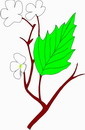 花朵鲜花_866eps,ai矢量模版下载