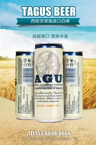 进口白啤酒海报
