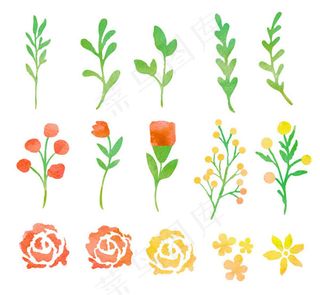 水彩花卉和叶子