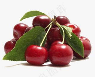 红色的大樱桃