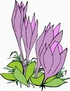 花朵鲜花_386eps,ai矢量模版下载